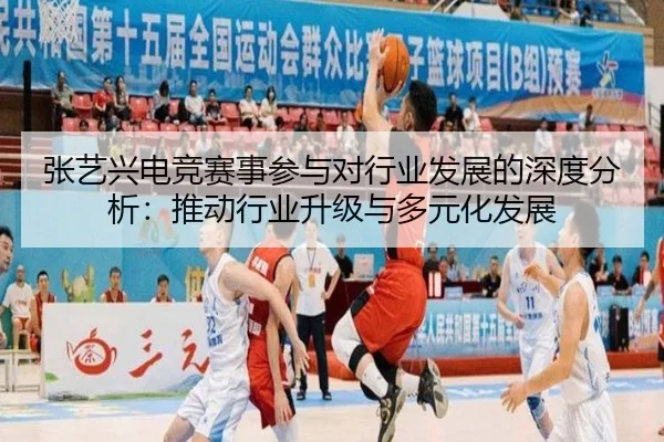 张艺兴电竞赛事参与对行业发展的深度分析：推动行业升级与多元化发展